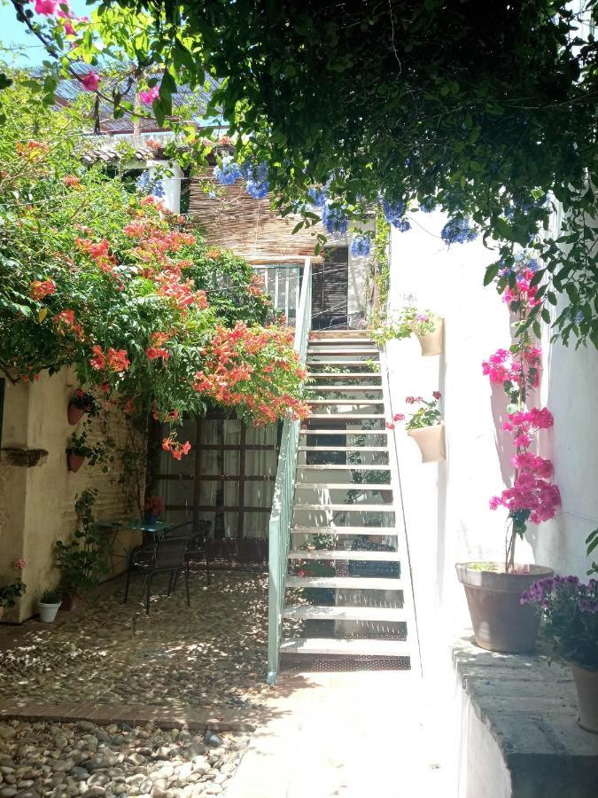 Patio Del Limonero Apartman Córdoba Kültér fotó
