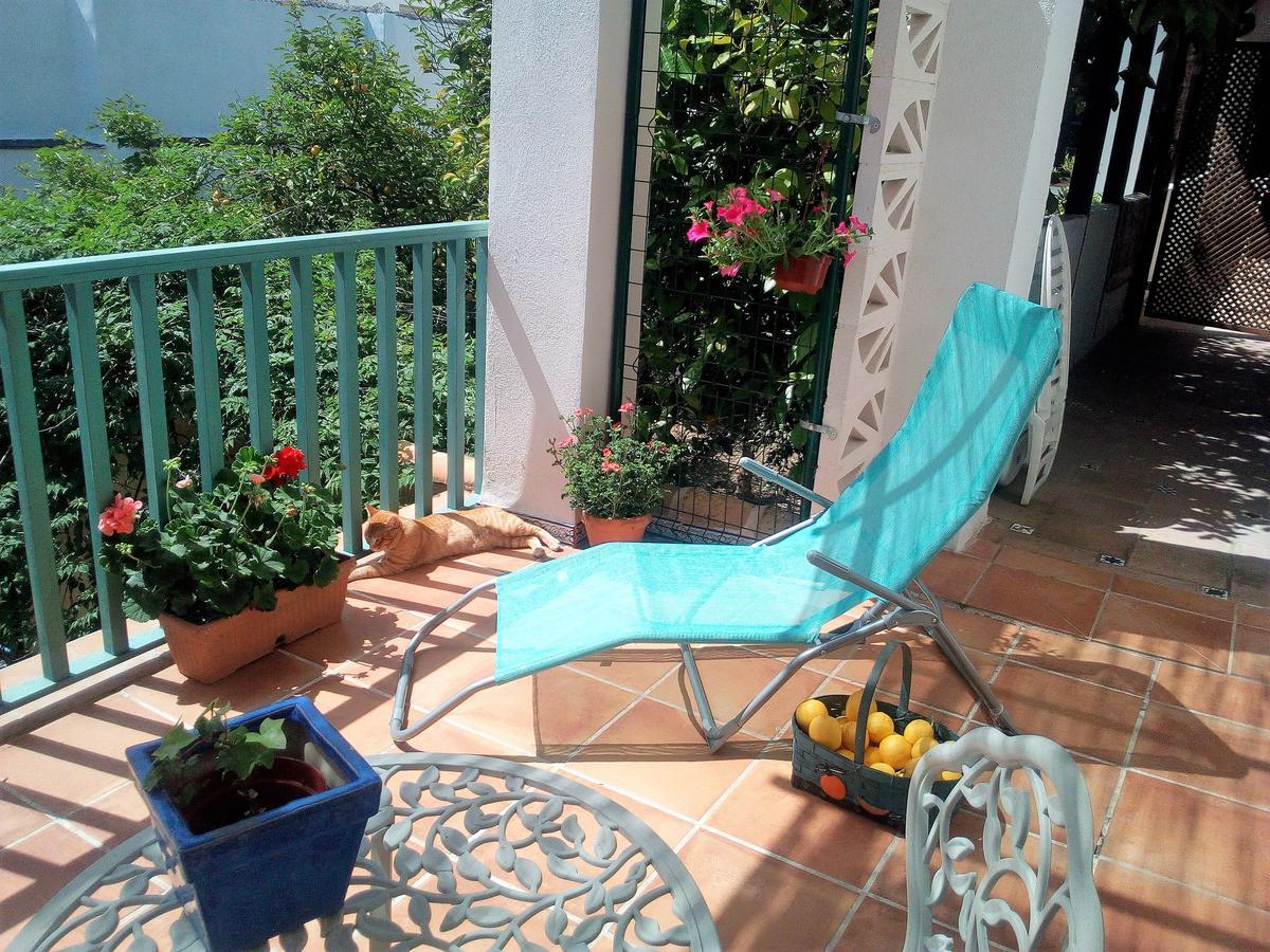 Patio Del Limonero Apartman Córdoba Kültér fotó